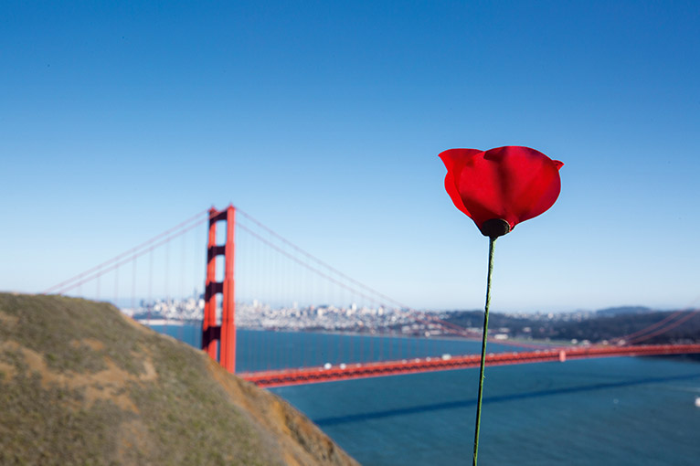 FBK Desktop mosaique top